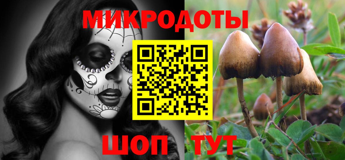 Галлюциногенные грибы мухоморы Красногорск