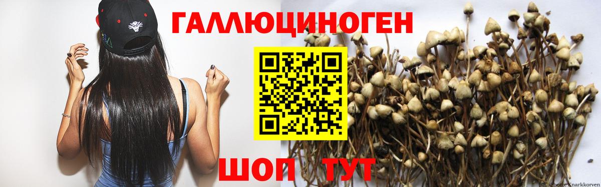 Красногорск  Псилоцибиновые грибы прущие грибы  Вход с VPN 